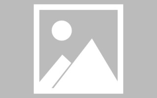 乐清最佳网站建设（网站建设哪个平台最好）